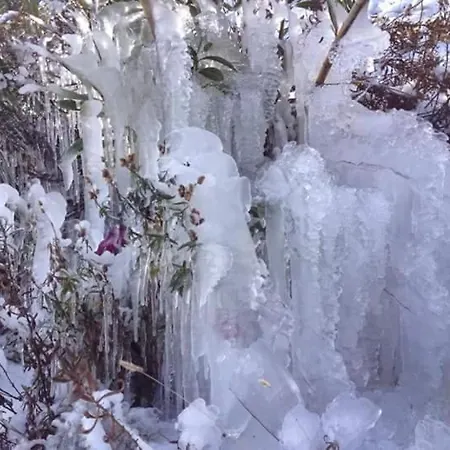 Mountain Rose & Restaurant Otel Pedula