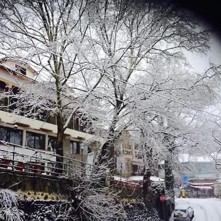 Mountain Rose & Restaurant Отель Педулас