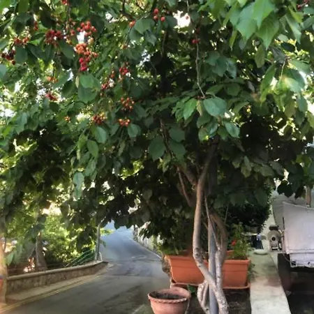 Hotel Mountain Rose & Restaurant 2*