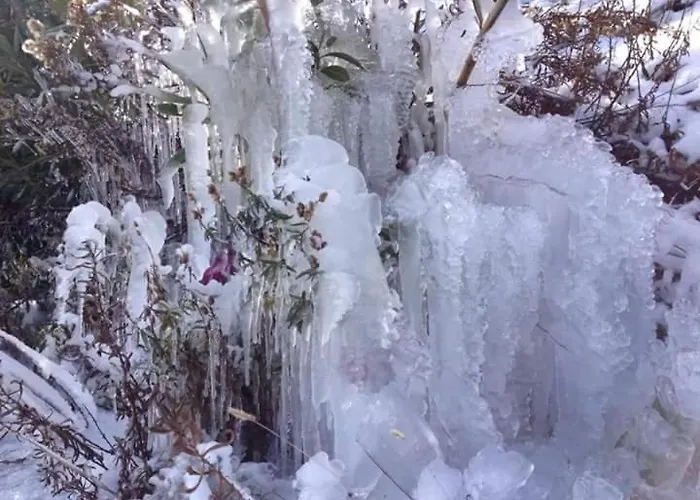 Mountain Rose & Restaurant Hotel Pedhoulas