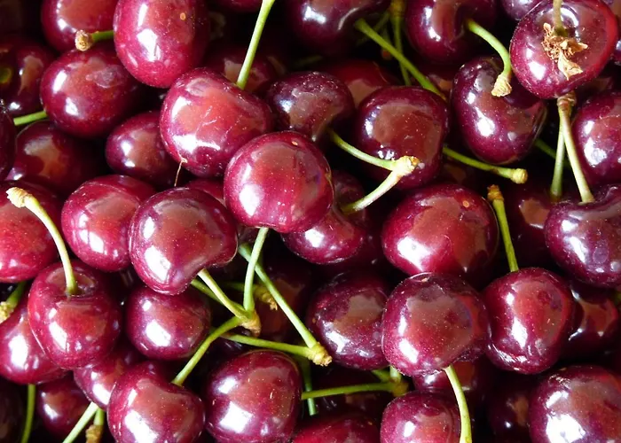 Hotel Mountain Rose & Restaurant Pedhoulas