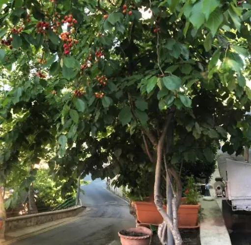 Hotel Mountain Rose & Restaurant 2*